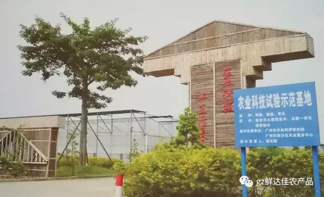 南沙農業(yè)生產基地